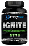PhysX Ignite